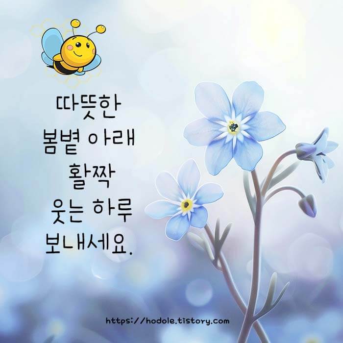 카톡 이미지