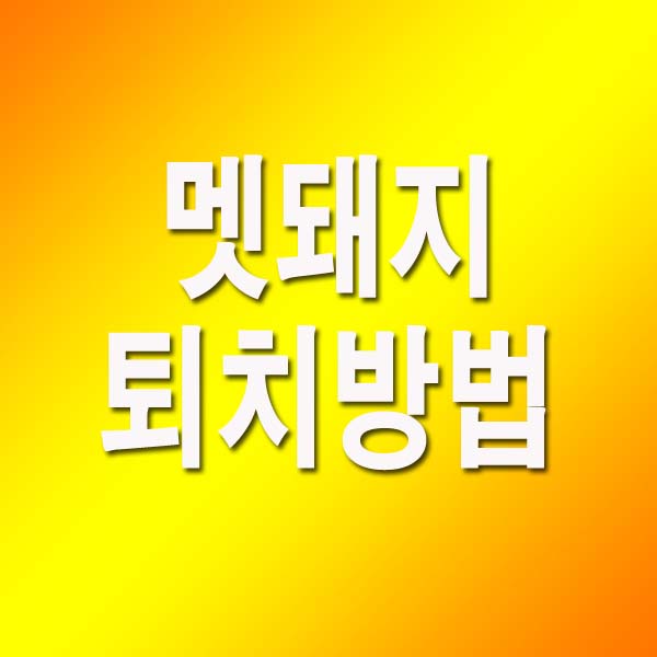  멧돼지 퇴치방법 7가지