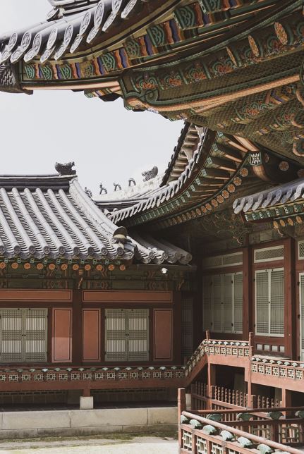 정치 테마주