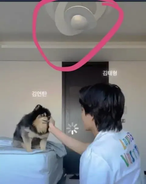 제니키스 이미지