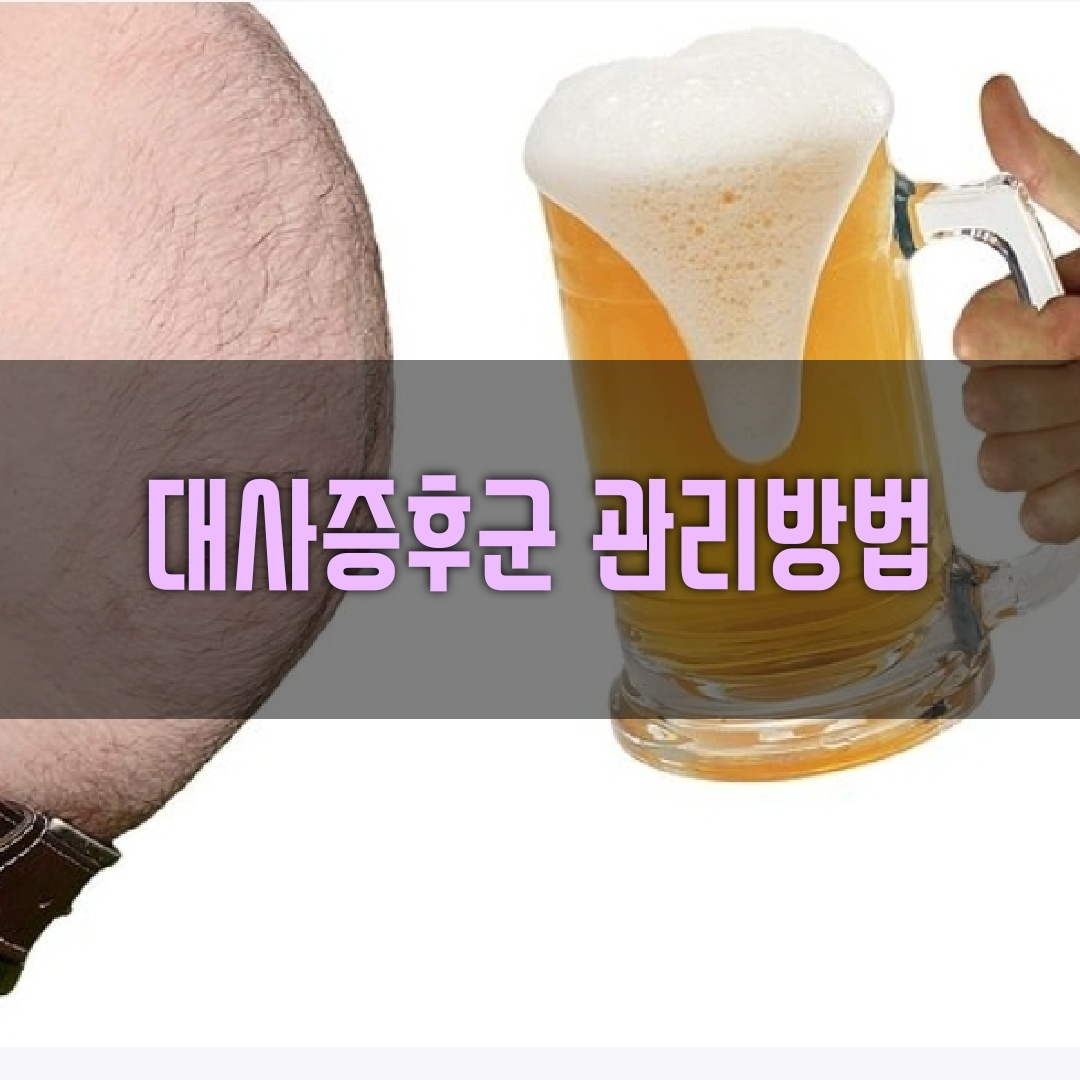 대사증후군 예방 관리