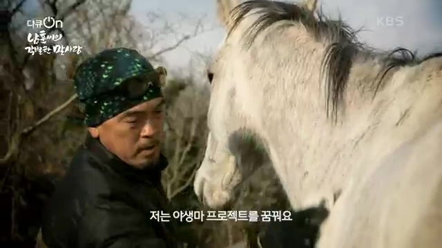 [189회] 다큐온 - KBS남훈 씨의 각별한 말 사랑] 연평균 1400여 마리의 경주마들이 경마장을 떠나 퇴역 경주마가 된다.ts_20230330_210949.668.jpg