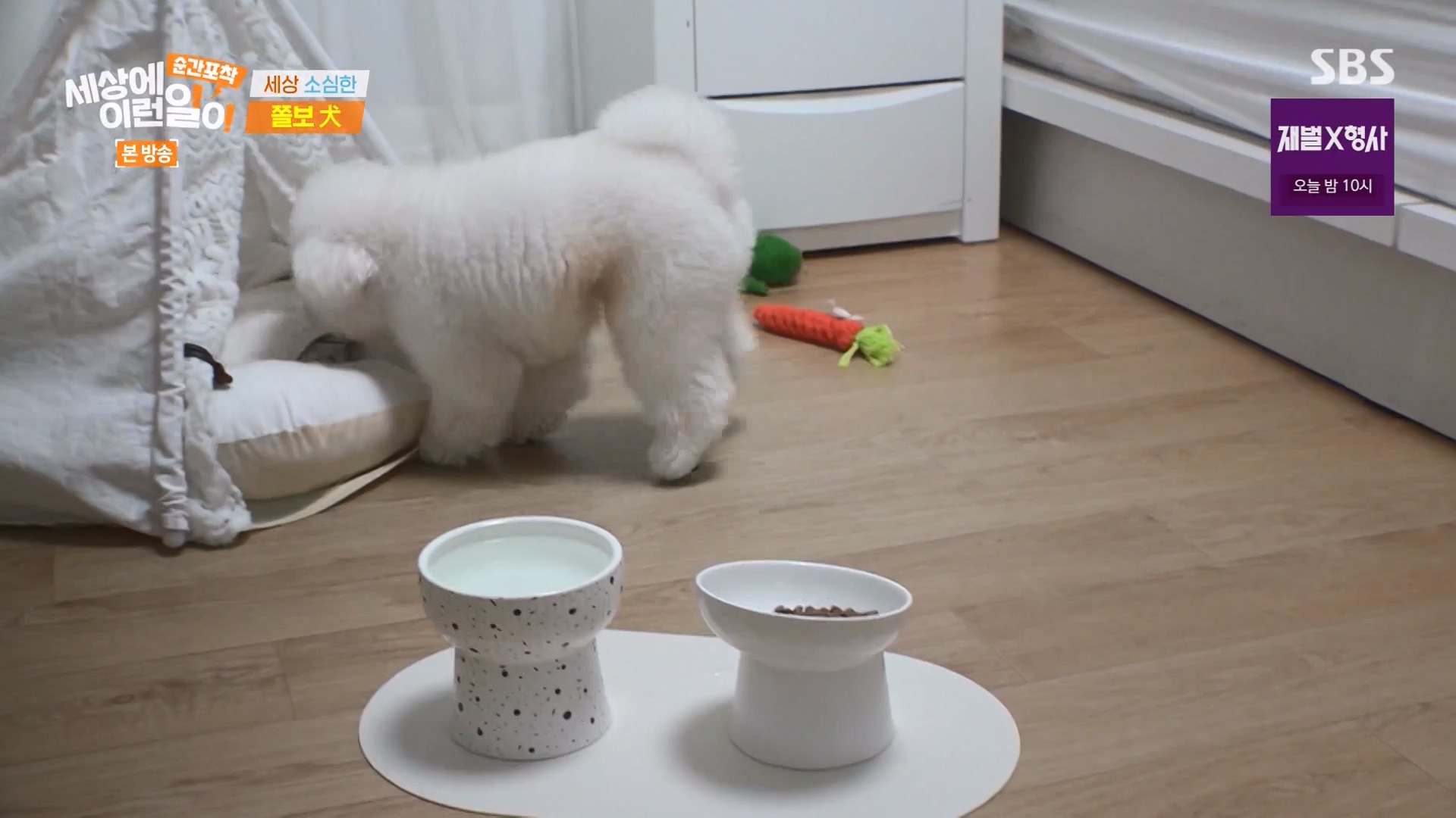 순간포착 세상에 이런일이.E1263.240203p-NEXT.mp4_20240204_164017.800.jpg