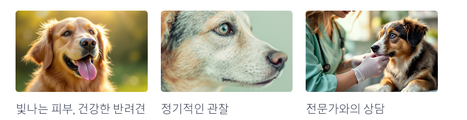 강아지 피부 색소 침착, 왜 생길까요?