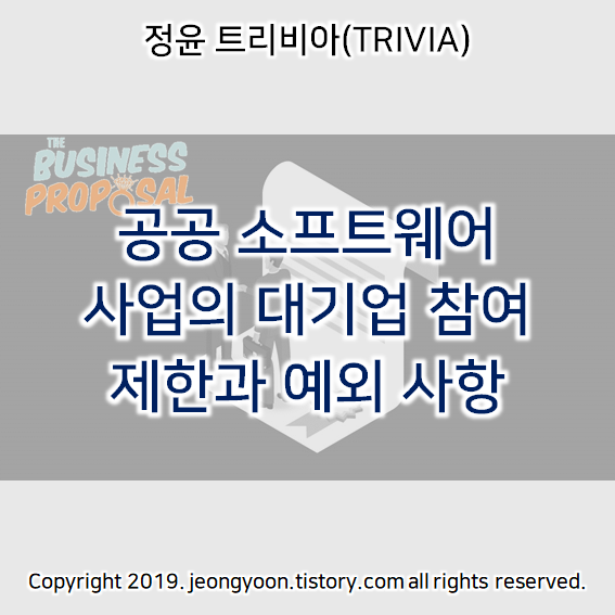  공공 소프트웨어 사업의 대기업 참여 제한과 예외 사항