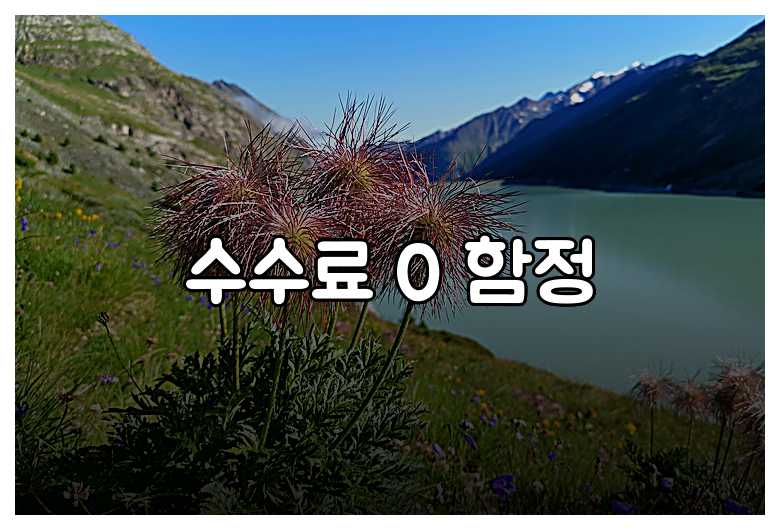 수수료 0 함정