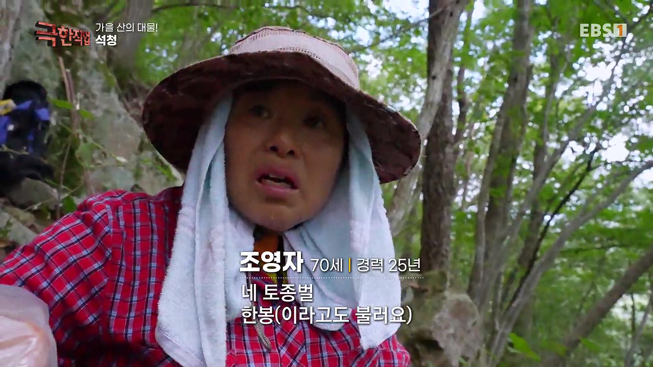 TV - 전 국민의 평생학교 EBS가을 산의 대물! 석청과 버섯.mp4_20230916_170710.914.jpg