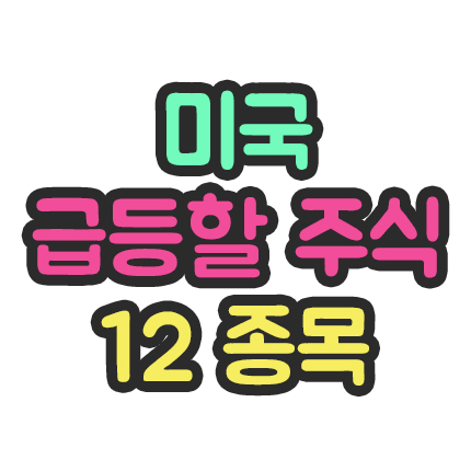  미국 급등할 주식 12 종목 (법인세 28% 반영)
