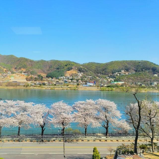 남양주 북한강 대형카페 녹화ㅣ벚꽃 뷰 메뉴 가격 주차까지