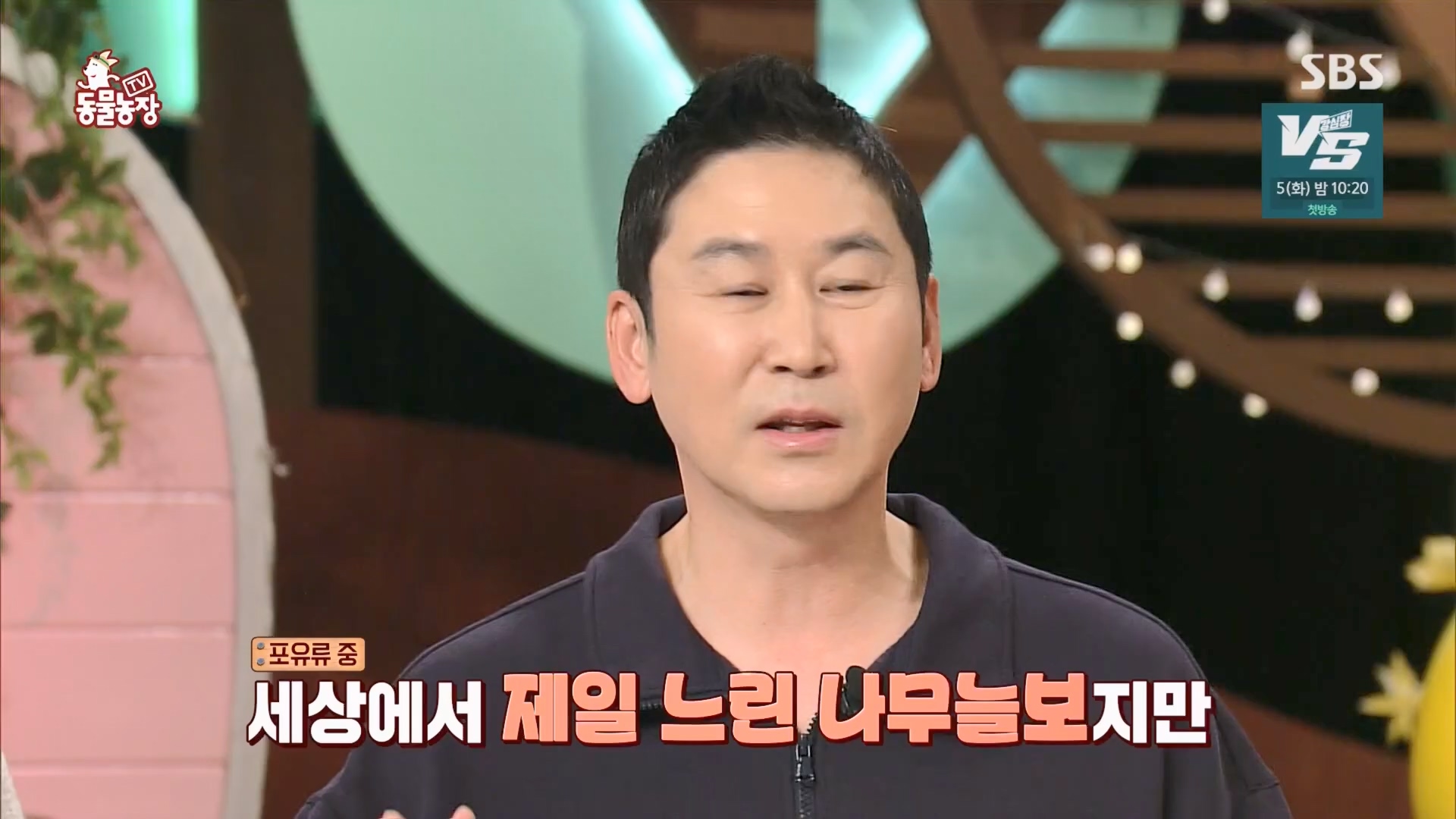 TV 동물농장.E1148.231203p.H264-F1RST.mp4_20231203_181429.364.jpg