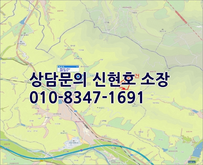 경북 영천 임야 매매 [2021타경4956] 경북 영천시 8