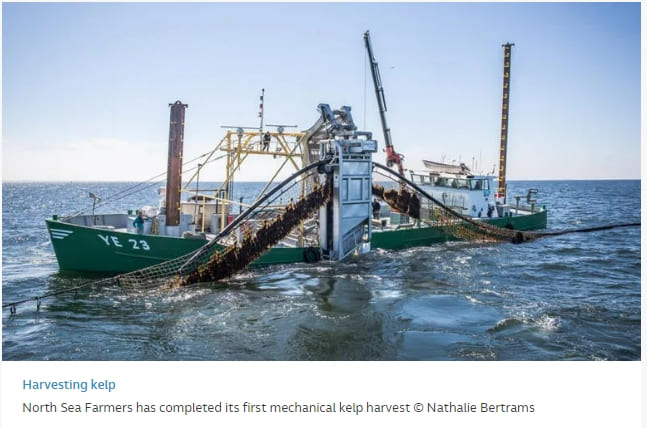 [#세계는 양식장 건설 붐] 세계 최초 대규모 해조류 양식장 수확 성공 VIDEO: Dutch seaweed farmers boast first offshore mechanical harvest
