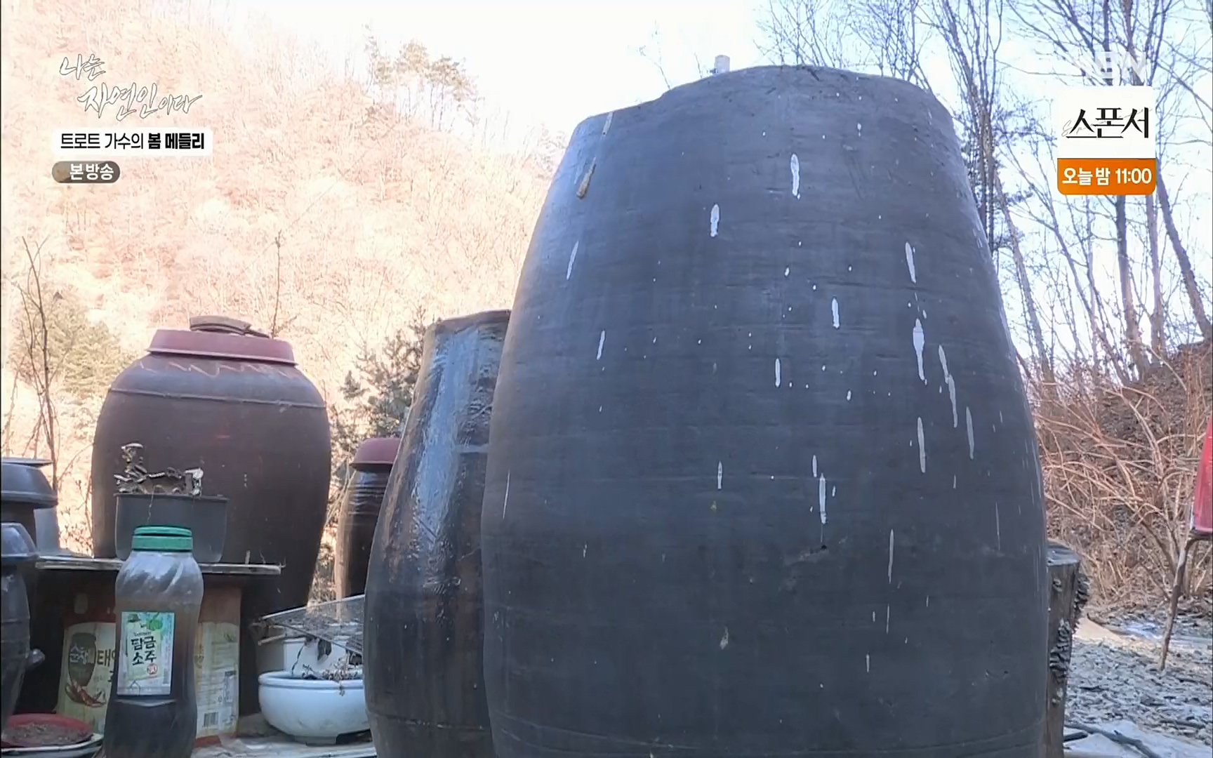 나는 자연인이다.E494.220323p.H264-F1RST.mp4_20220324_183851.678.jpg