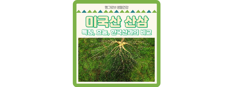 미국산 산삼 썸네일