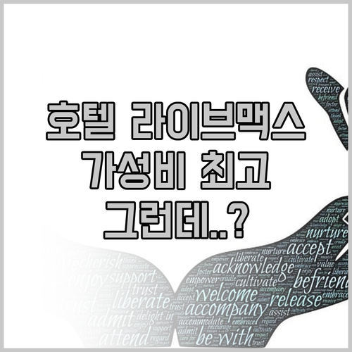 호텔 라이브맥스 후추, 가성비는 최고