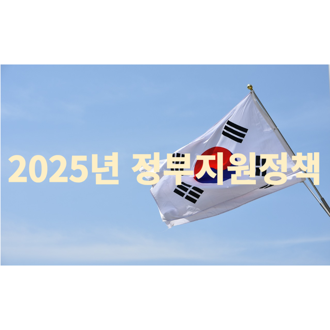 2025년 정부지원정책