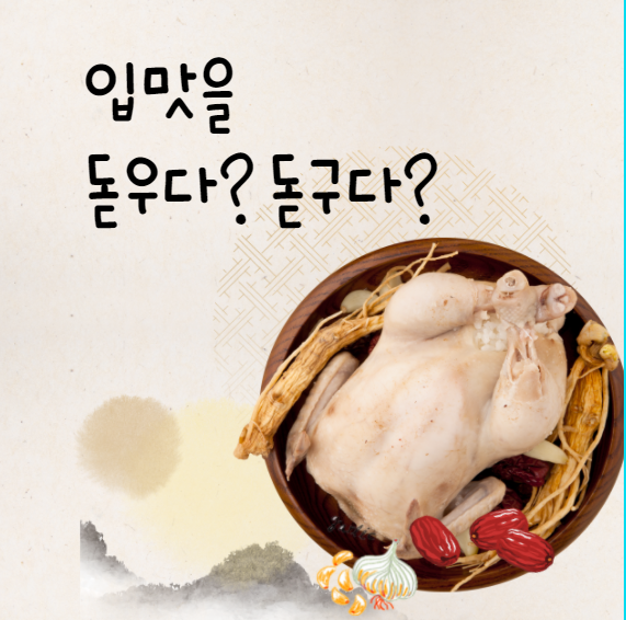  [맞춤법 바로알기] 입맛을 돋우다 돋구다 올바른 표현법은?