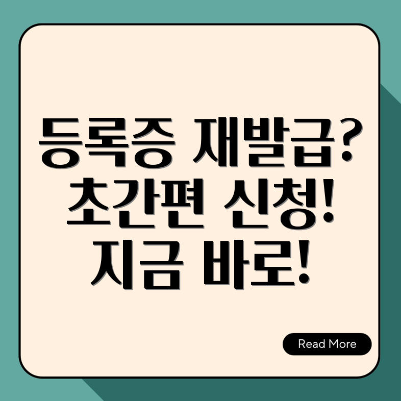 자동차등록증 재발급