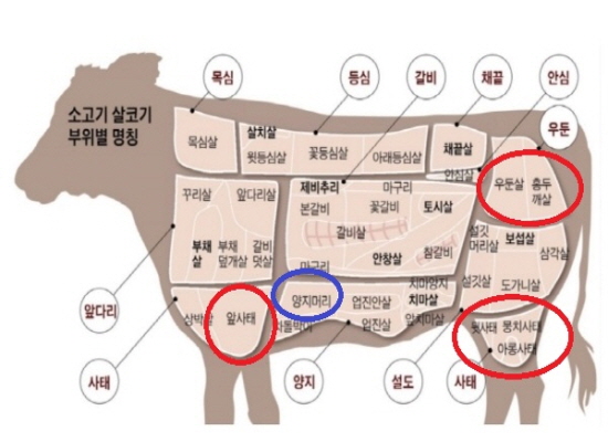  소고기 장조림 부위 홍두깨살 우둔살 사태 양지머리 및 돼지고기 부위