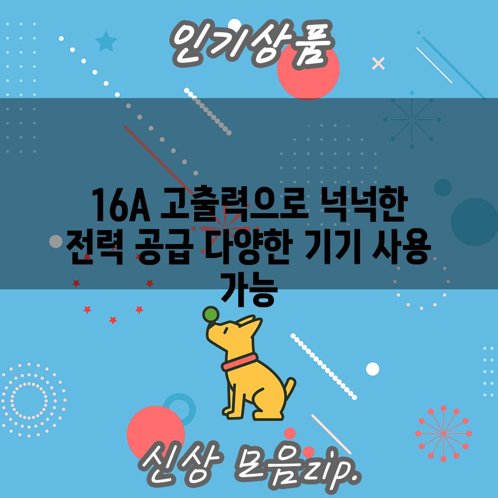 16A 고출력으로 넉넉한 전력 공급 다양한 기기 사용 가능