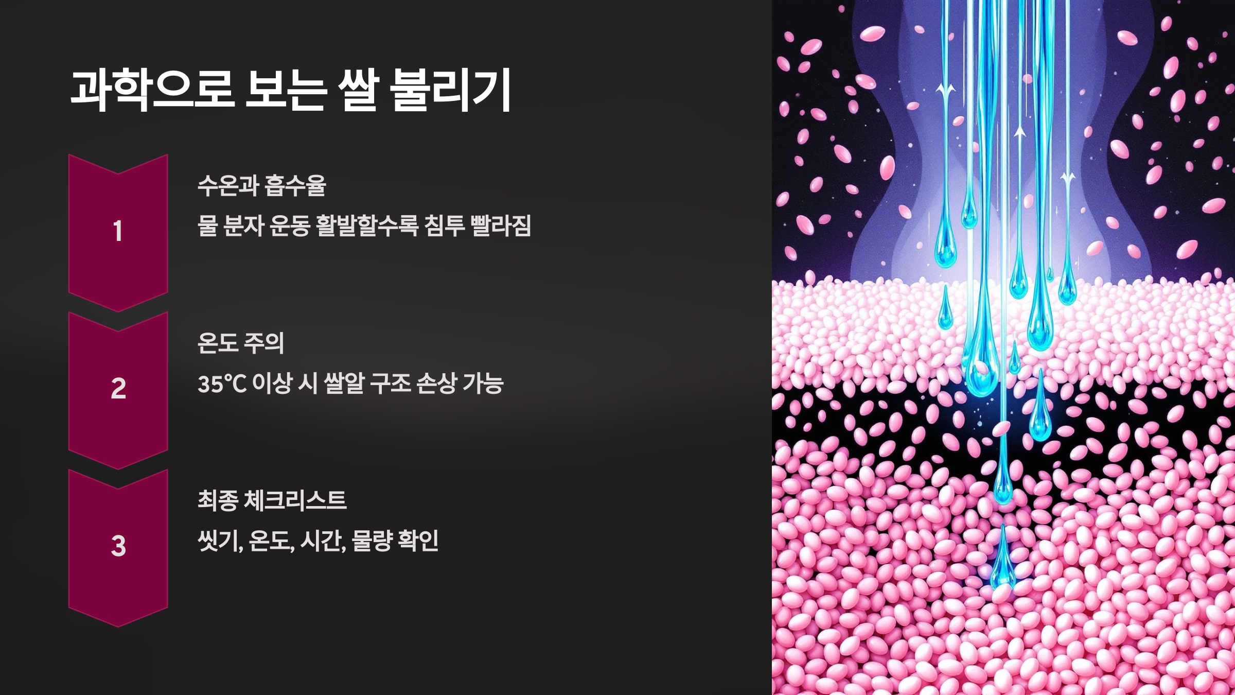 과학으로 보는 쌀 불리기를 설명한 PPT 이미지