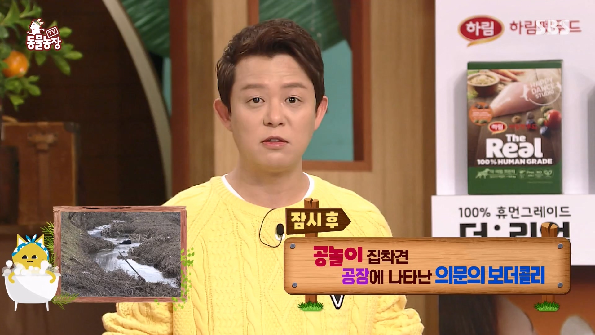 TV 동물농장.E1161.240303p-NEXT.mp4_20240303_172244.384.jpg