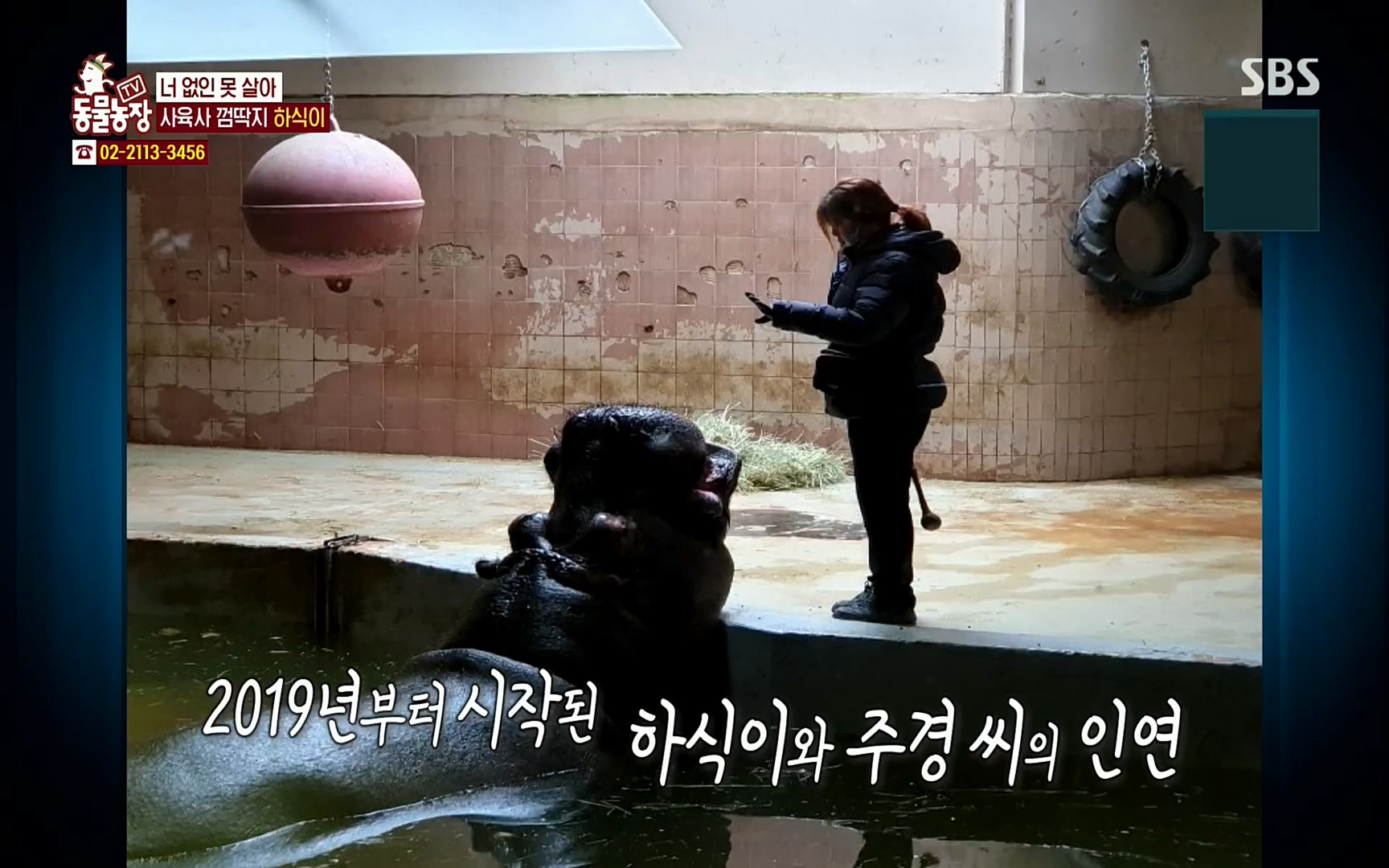 TV 동물농장.E1067.220501p.H264-F1RST.mp4_20220501_181657.733.jpg