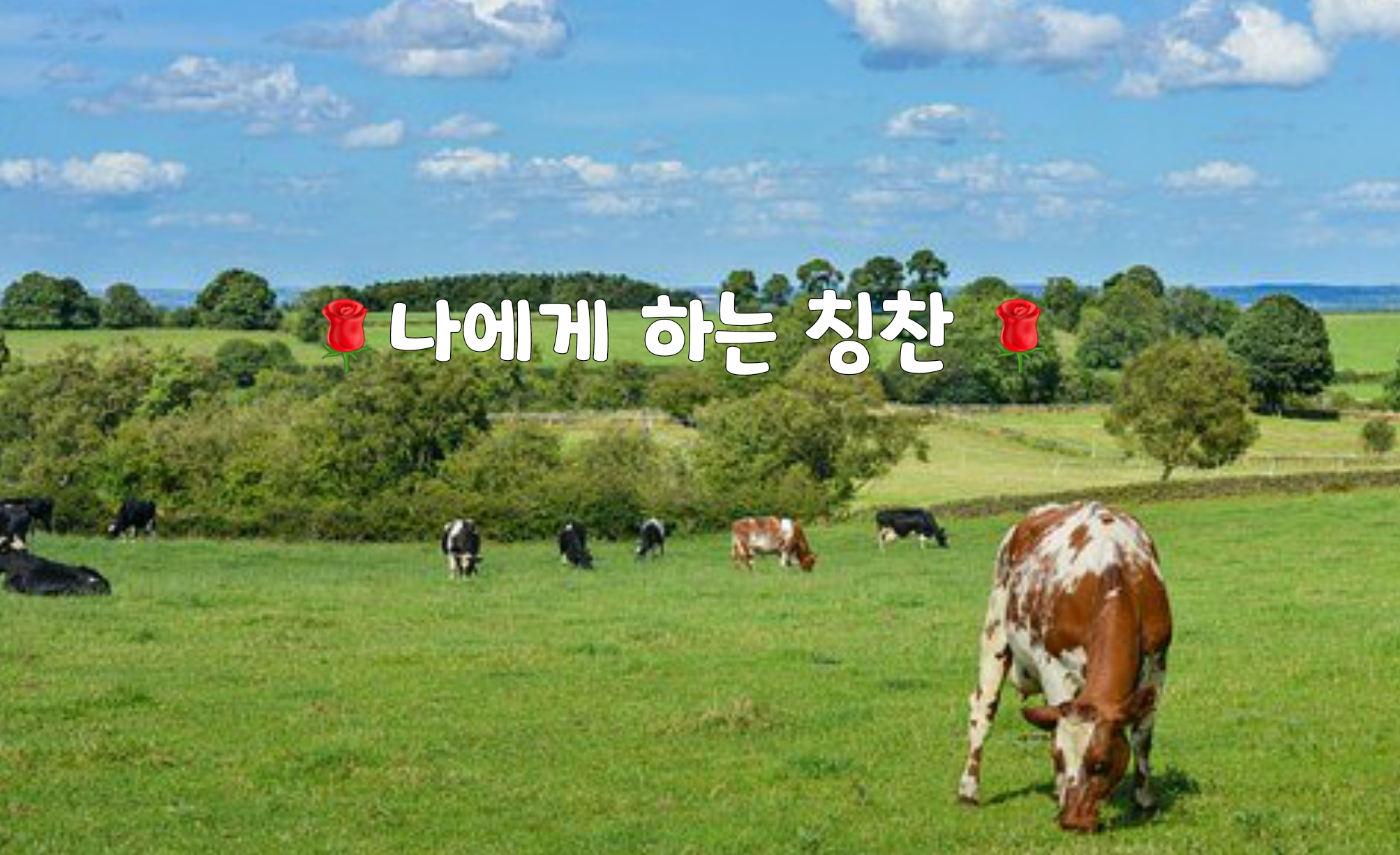  좋은글]나에게 하는 칭찬