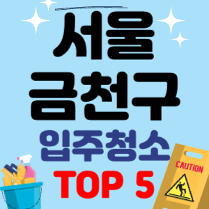 서울 금천구 입주청소 이사청소 원룸청소 전문 후기 업체 추천 견적 비용 비교 TOP 5 2024