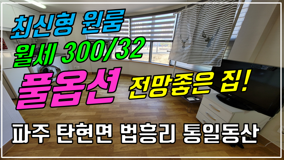  파주 탄현면 법흥리 통일동산 신세계첼시아울렛 원룸 월세 300/32만 풀옵션 개방감 좋고 조망 좋은 최신형 넓은 원룸