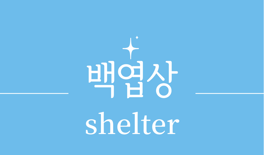 '백엽상(shelter)'