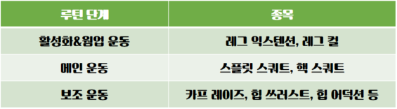  스쿼트 없는 하체운동 루틴(스쿼트 대체 운동)