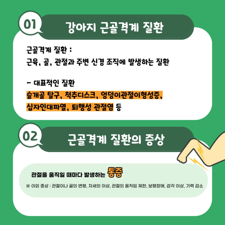 ch 강아지 통증 및 3