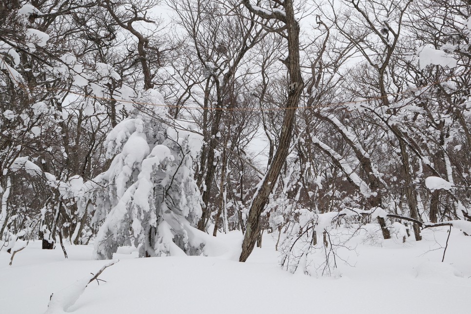 눈쌓인 겨울산 이미지 54