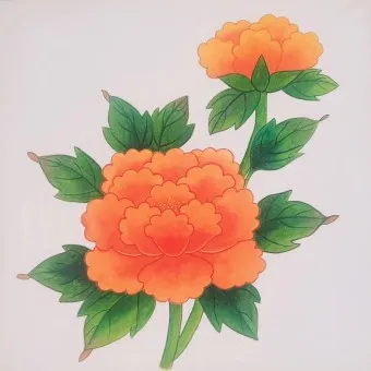 모란 꽃 특성 해설_7