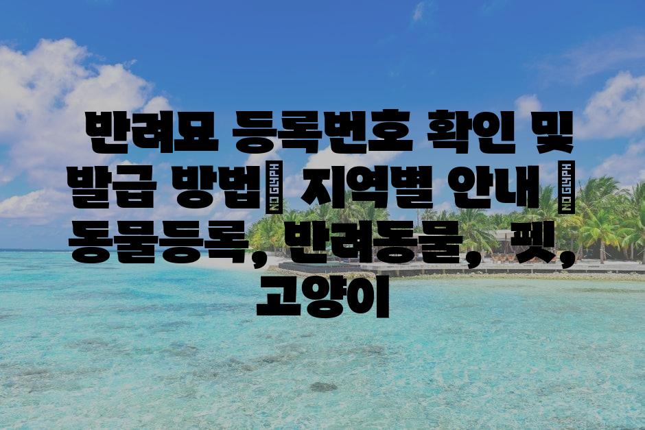 샘플 (72)