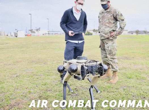  영국 낙하산 부대의 네발 로봇 개의 잠재력 테스트 VIDEO: British parachute unit tested quadruped robotic dog’s potential