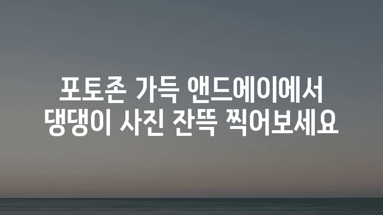 포토존 가득 앤드에이에서 댕댕이 사진 잔뜩 찍어보세요