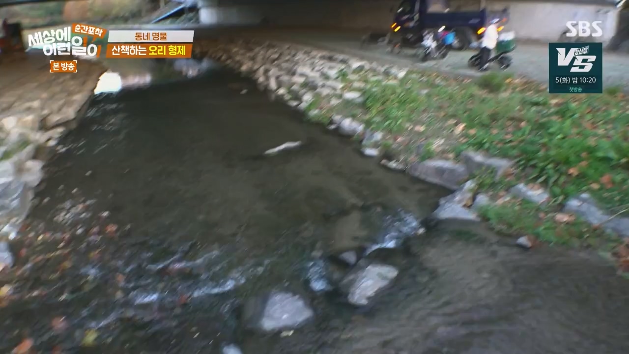순간포착 세상에 이런일이.E1254.231203p-NEXT.mp4_20231203_140538.084.jpg