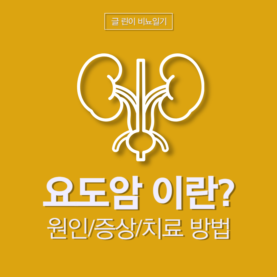  요도암 이란? 원인/증상/치료 방법 까지