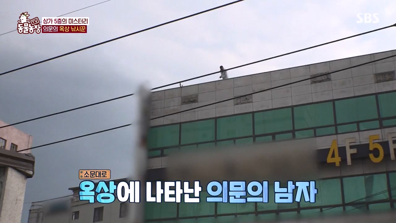 TV 동물농장.E1146.231120p-NEXT.mp4_20231119_175247.579.jpg