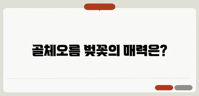 2025년 골체오름 벚꽃축제 일정과 추천 코스