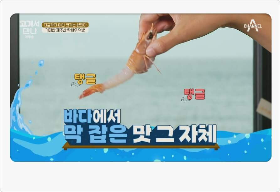 딱새우