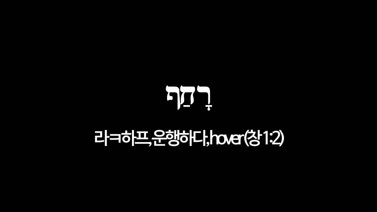 창세기 1장 2절&#44; 운행하시니라(רָחַף&#44; 라ㅋ하프&#44; hover) - 히브리어 원어 정리