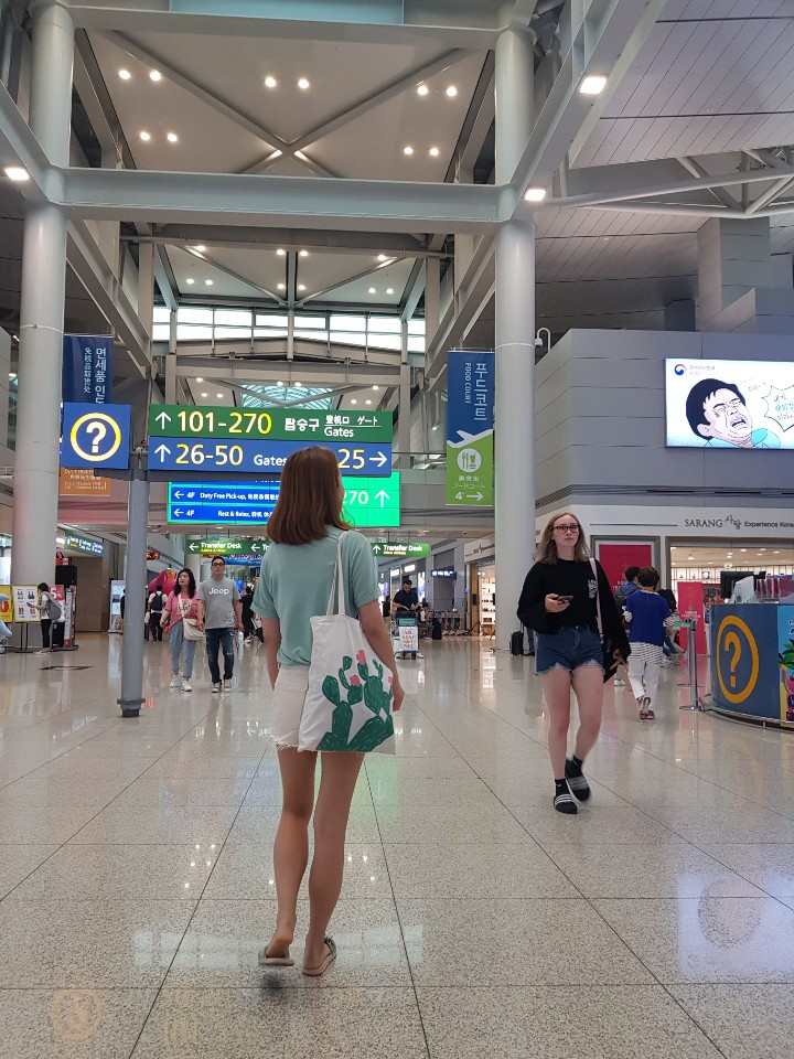  항공기 기내 반입  그리고 위탁수화물