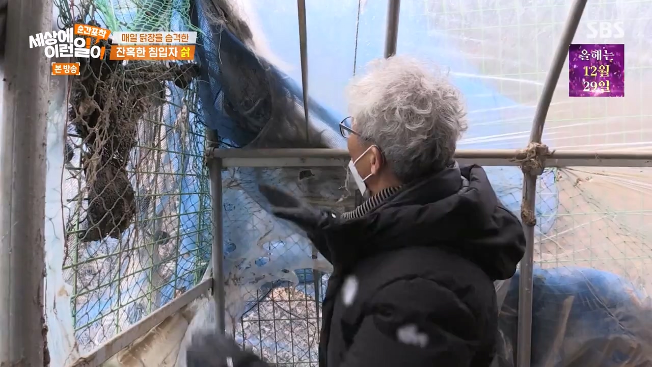 순간포착 세상에 이런일이.E1257.231224p-NEXT.mp4_20231224_180237.207.jpg