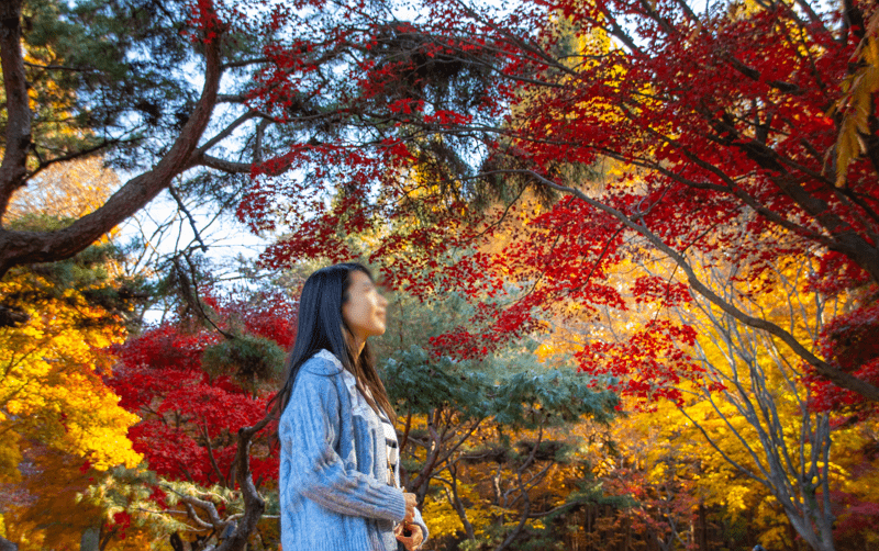 가을 단풍을 배경으로 한 몽환적 인스타 감성 인물사진