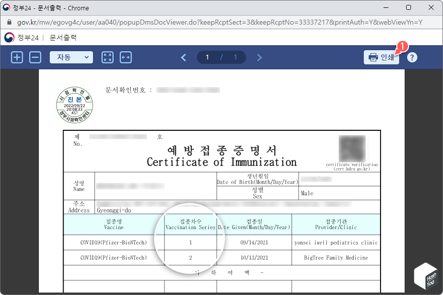 코로나 예방접종 증명서 영문 발급