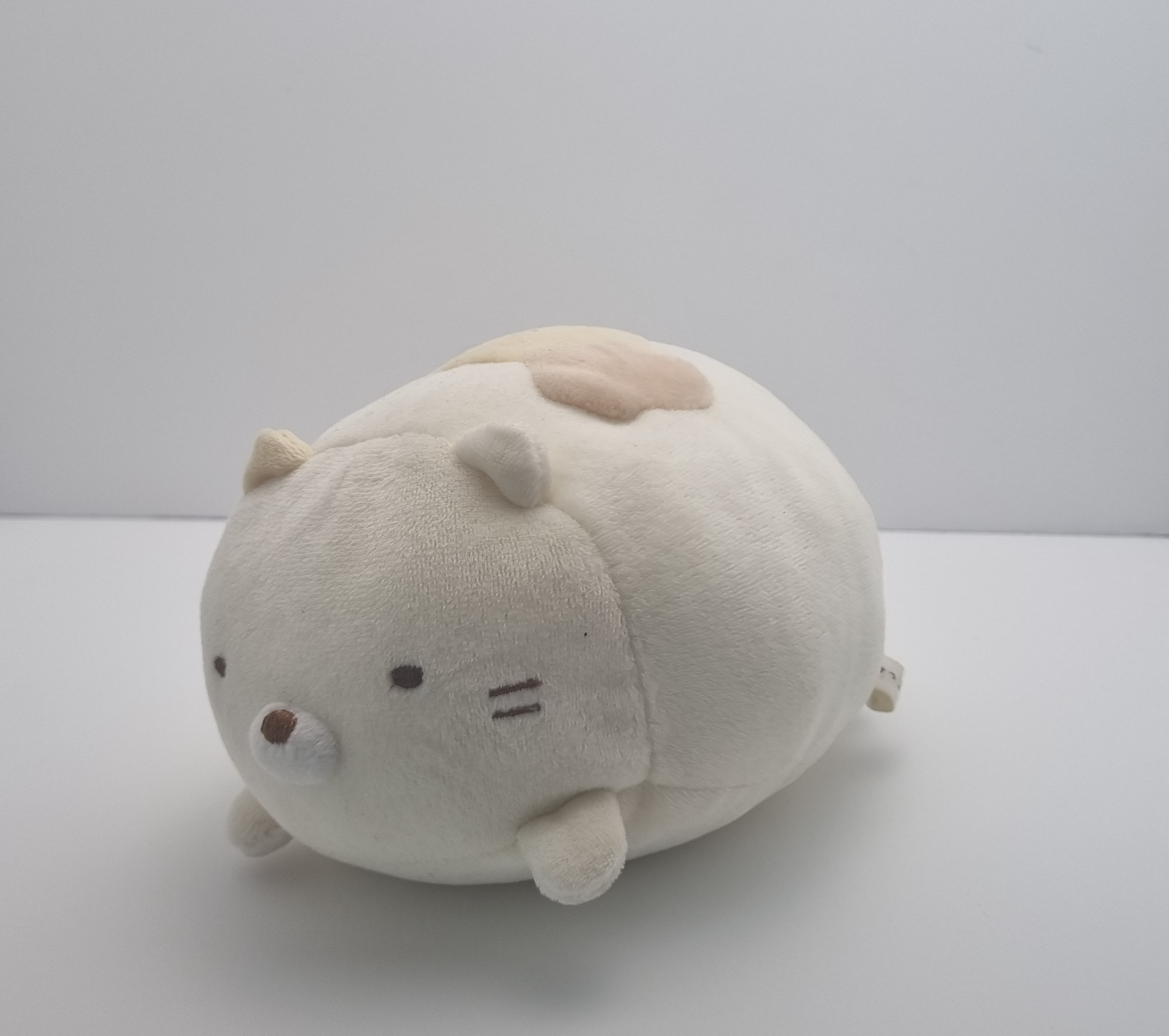 사진1