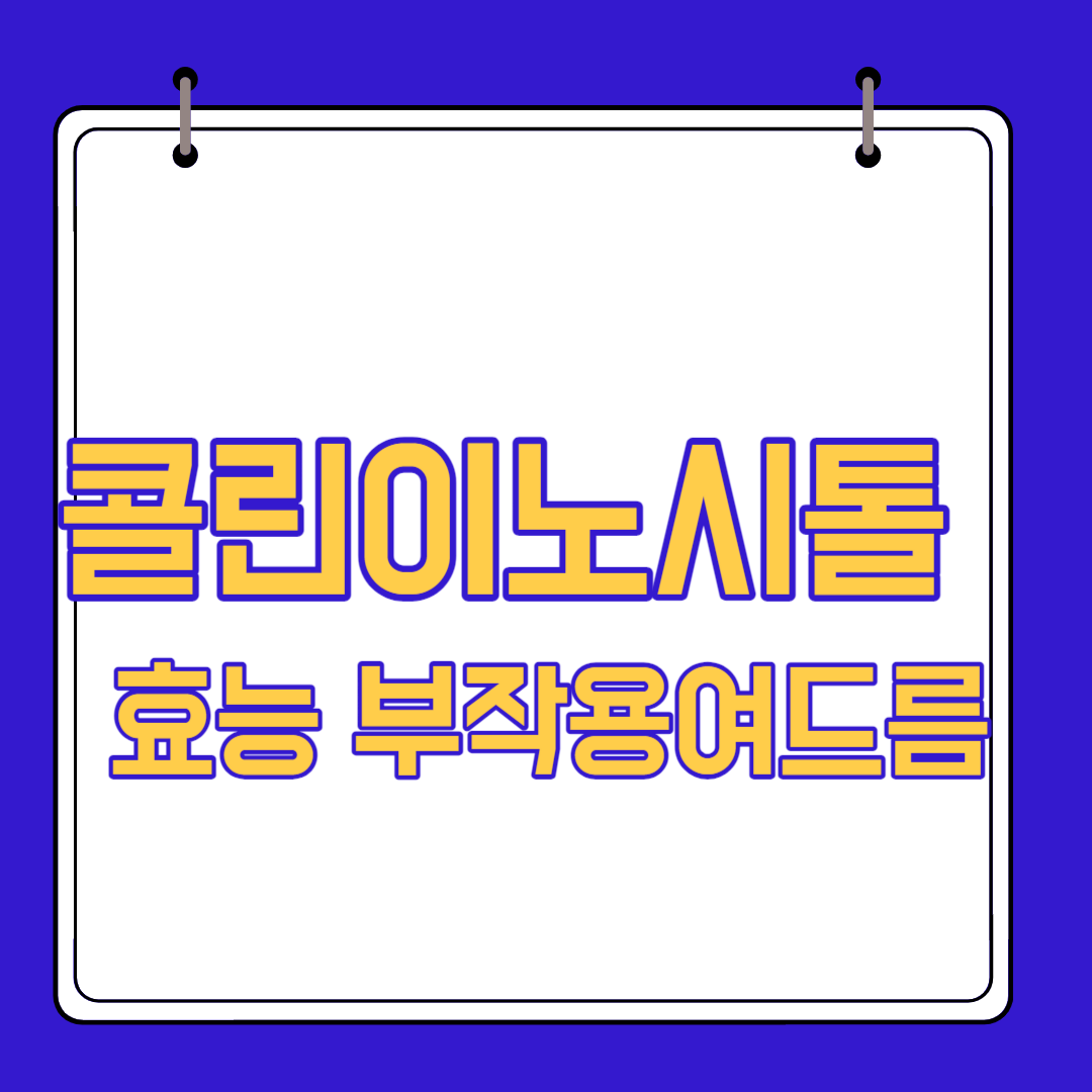  콜린이노시톨 효능 부작용과 여드름